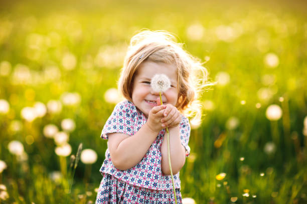 Toddler girl blowing a dandelion in a sunny meadow